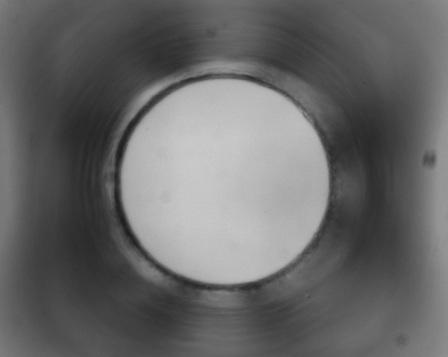 X0000102240836200807250835