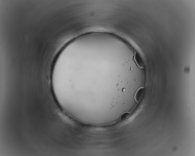 X0000102240837200807250835