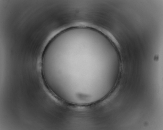 X0000102240839200807250835