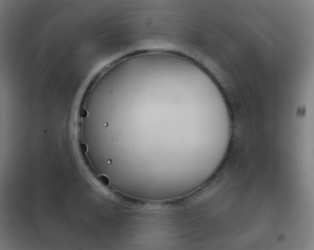 X0000102240840200807250835
