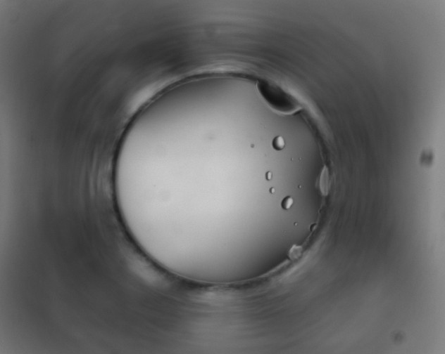 X0000102240842200807250835
