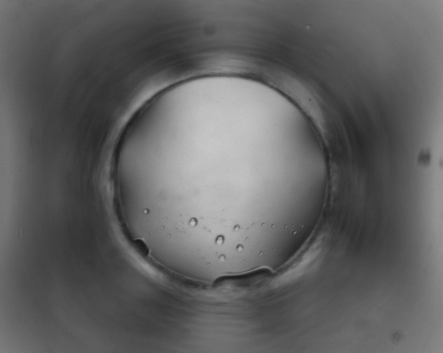 X0000102240843200807250835
