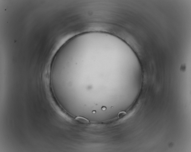 X0000102240844200807250835