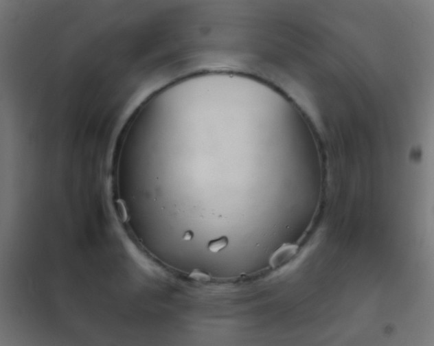X0000102240845200807250835