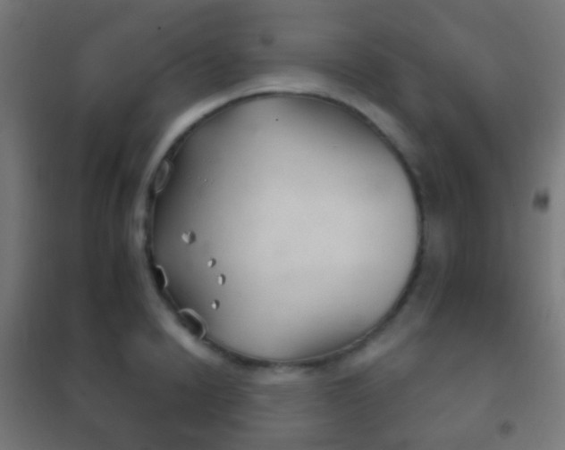 X0000102240846200807250835