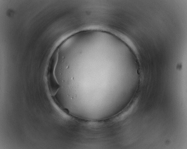 X0000102240847200807250835