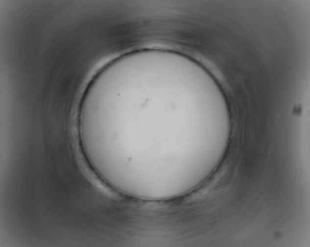 X0000102240848200807250835