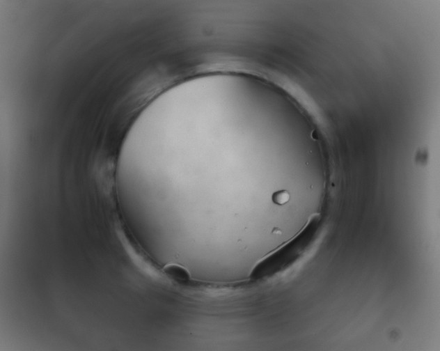 X0000102240849200807250835