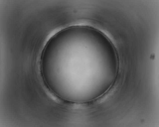 X0000102240850200807250836