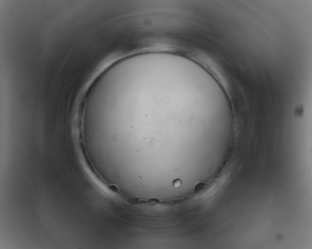 X0000102240851200807250836