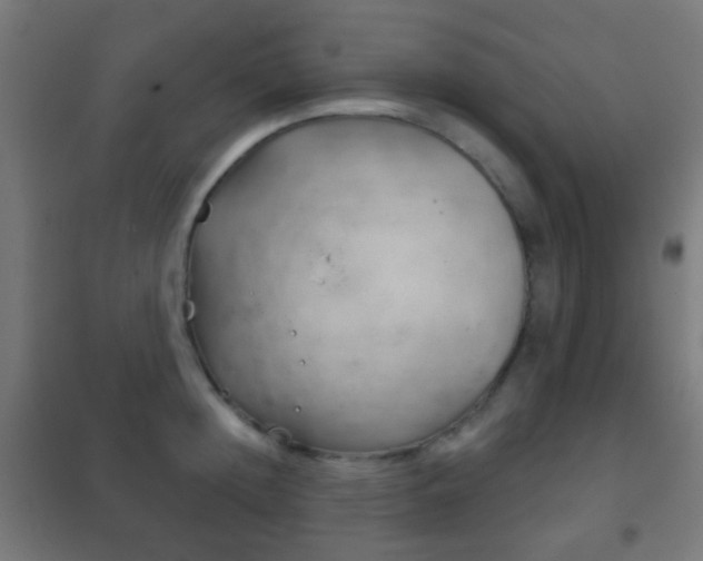 X0000102240852200807250836