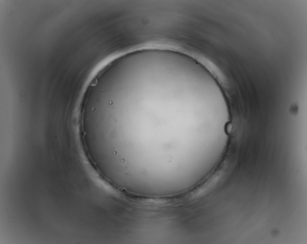 X0000102240854200807250836