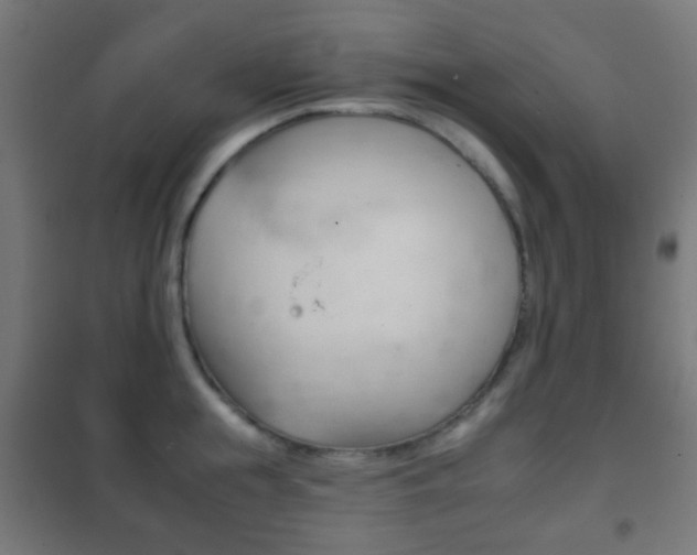 X0000102240855200807250836