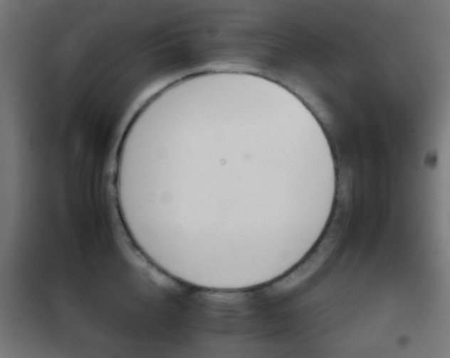 X0000102240856200807250836