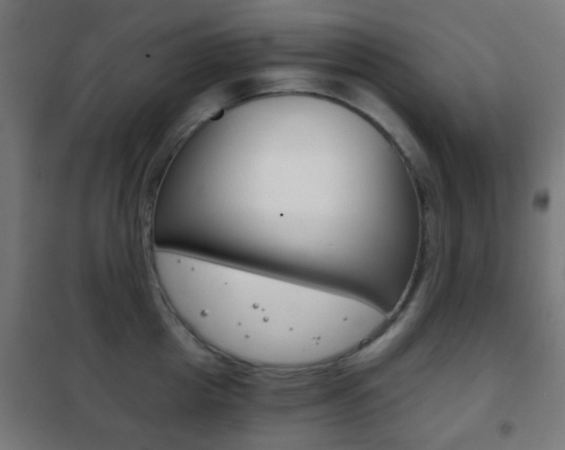 X0000102240857200807250836