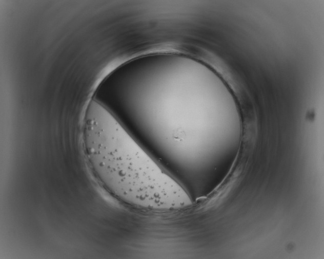X0000102240858200807250836