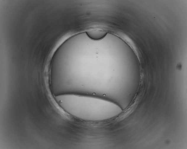 X0000102240859200807250836