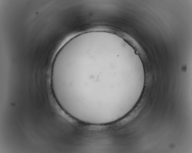 X0000102240860200807250836