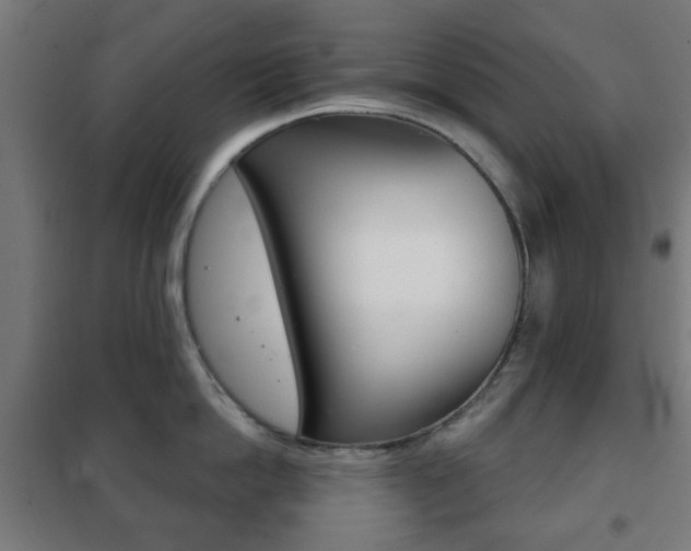 X0000102240862200807250836