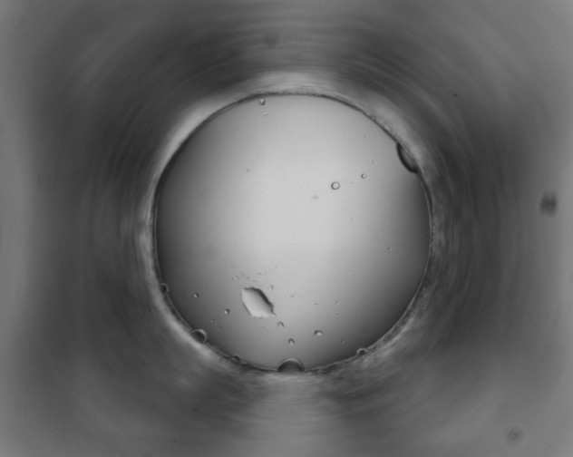 X0000102240863200807250836