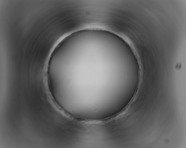 X0000102240864200807250836