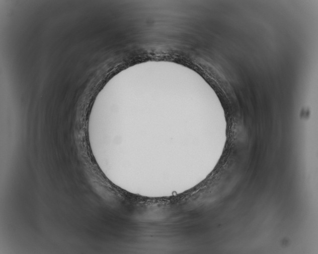 X0000102240865200807250835