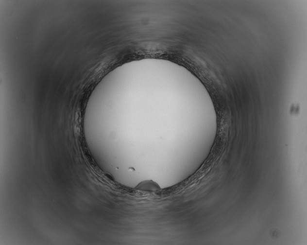 X0000102240866200807250835