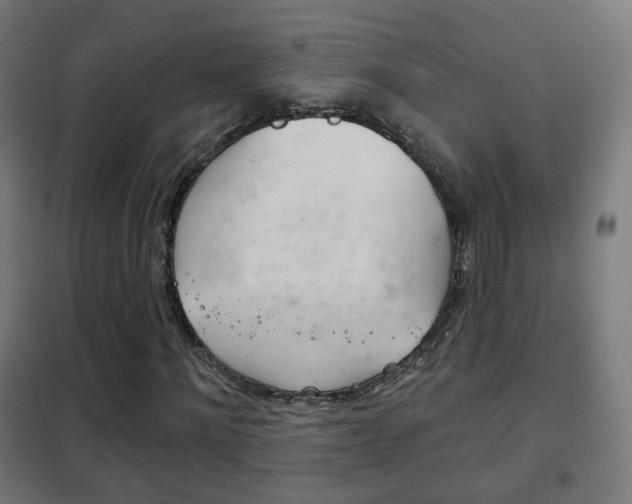 X0000102240868200807250835