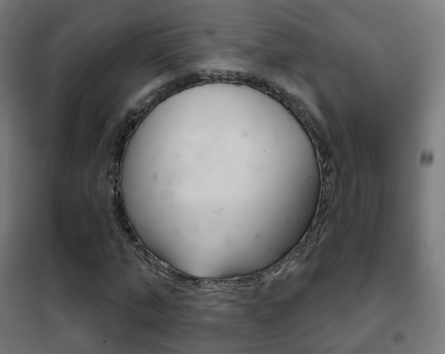 X0000102240870200807250835