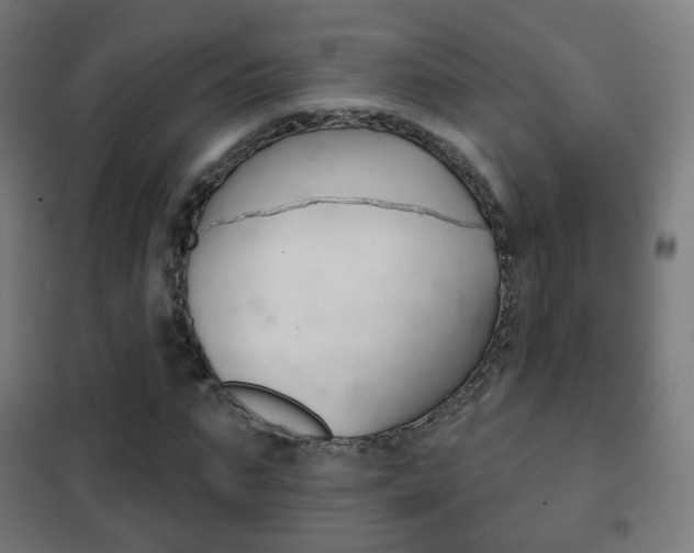 X0000102240871200807250835