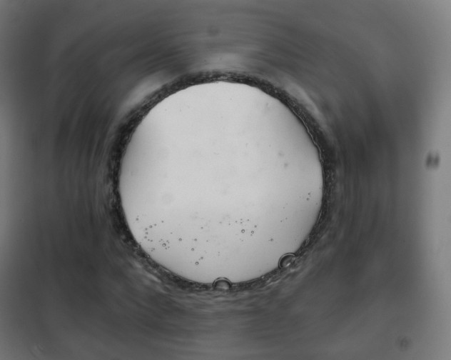 X0000102240872200807250835