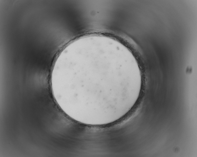 X0000102240873200807250835