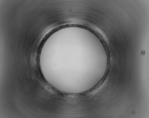 X0000102240875200807250835