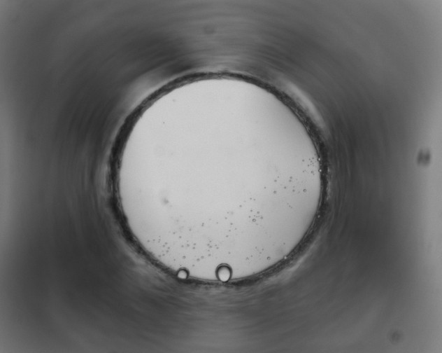 X0000102240876200807250835
