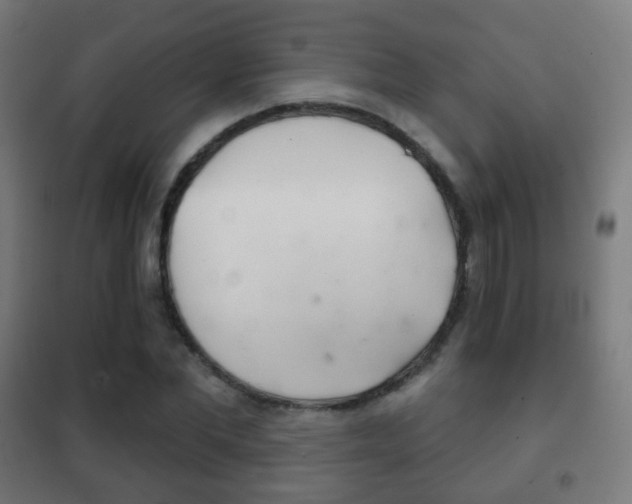 X0000102240877200807250835