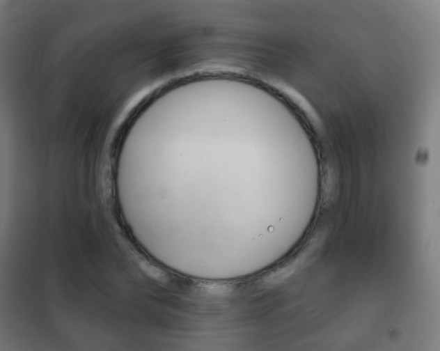 X0000102240878200807250835