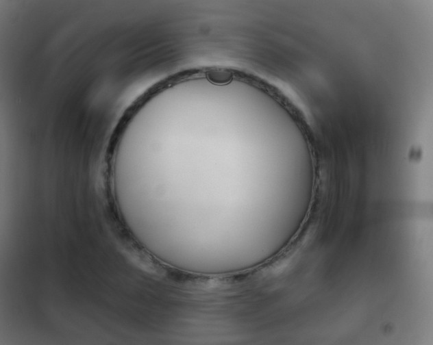 X0000102240879200807250835