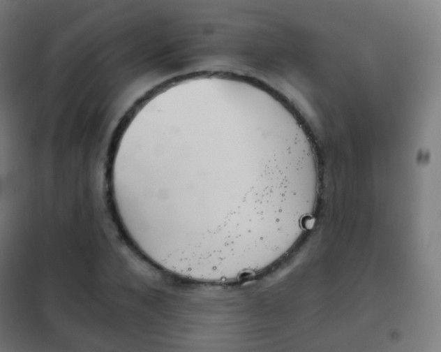 X0000102240880200807250835