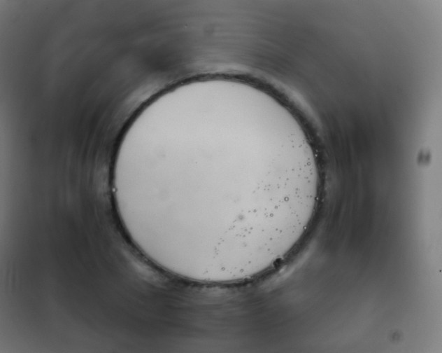 X0000102240881200807250835