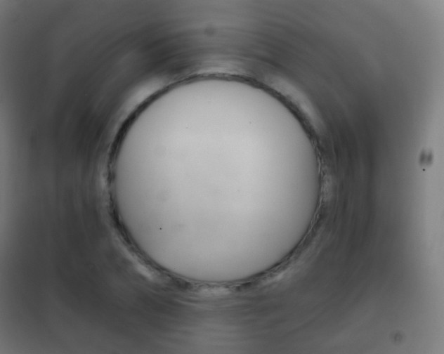 X0000102240882200807250835