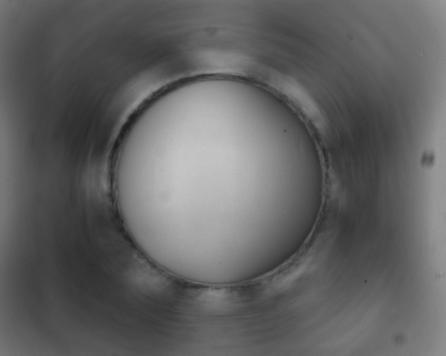 X0000102240883200807250835