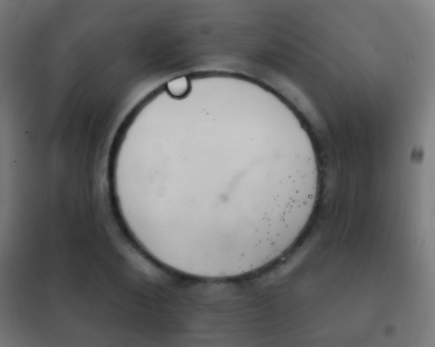 X0000102240884200807250835