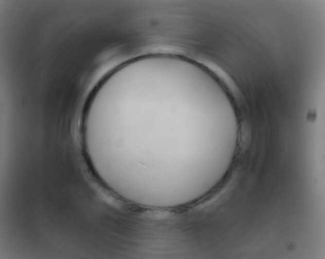 X0000102240886200807250835