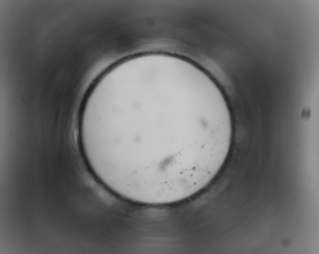 X0000102240888200807250835