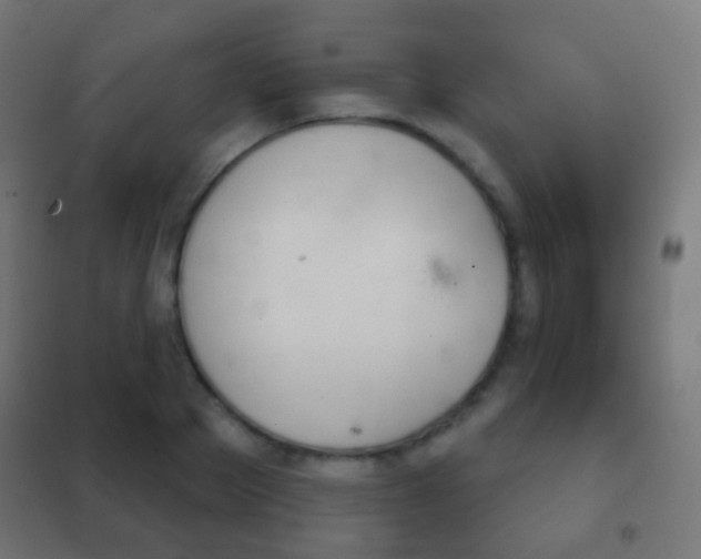 X0000102240889200807250835