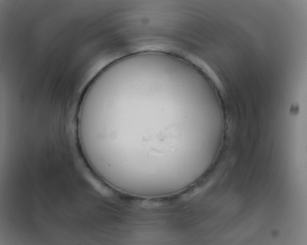 X0000102240890200807250835