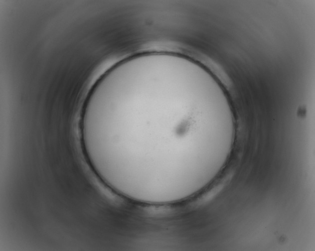 X0000102240893200807250835
