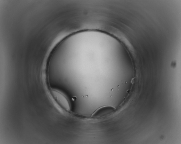 X0000102240894200807250835
