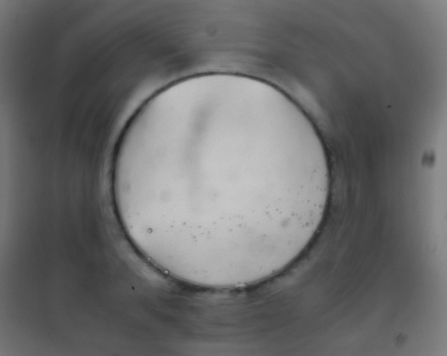 X0000102240896200807250835