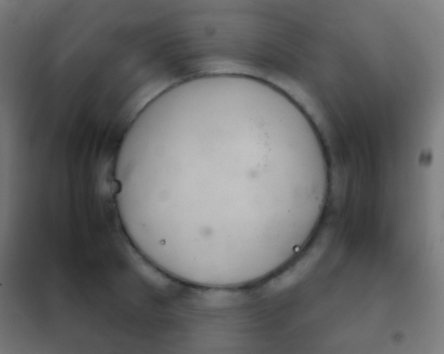 X0000102240897200807250835